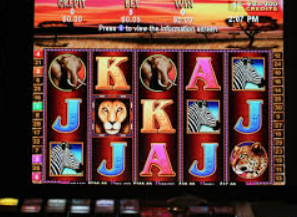 华体app官方下载入口2024最新版